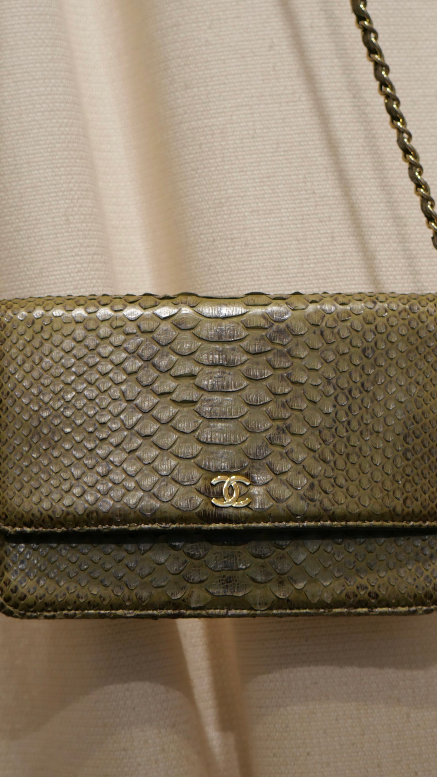 Chanel Bag Python green