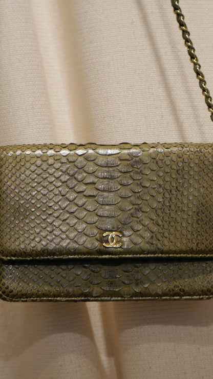 Chanel Bag Python green