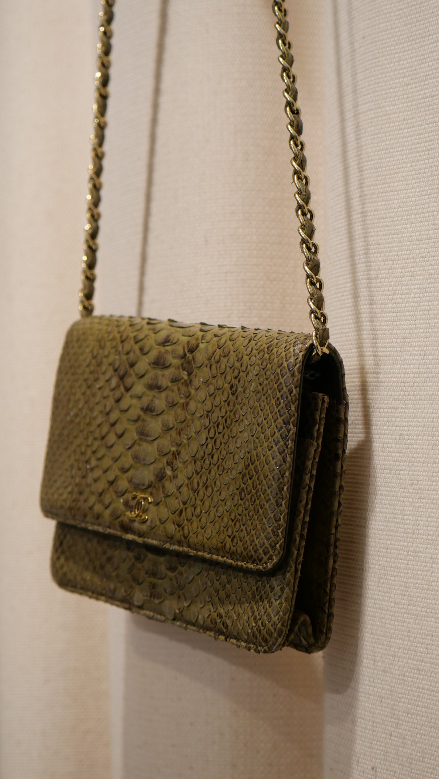 Chanel Bag Python green