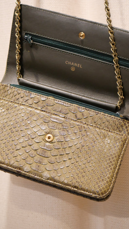 Chanel Bag Python green